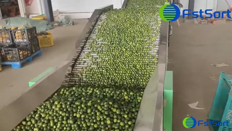 images/1753435481949lemon sorter.jpg